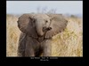 00005�